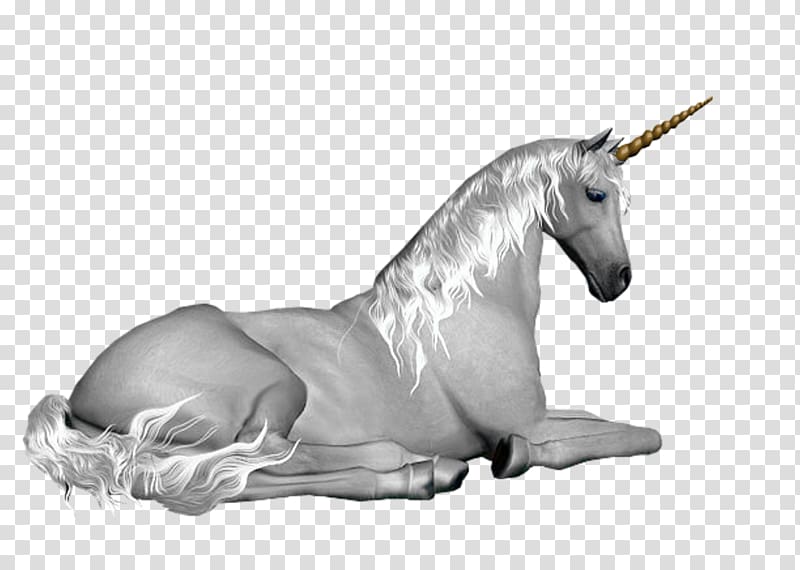 Unicorn GIF Horse , unicorn transparent background PNG clipart
