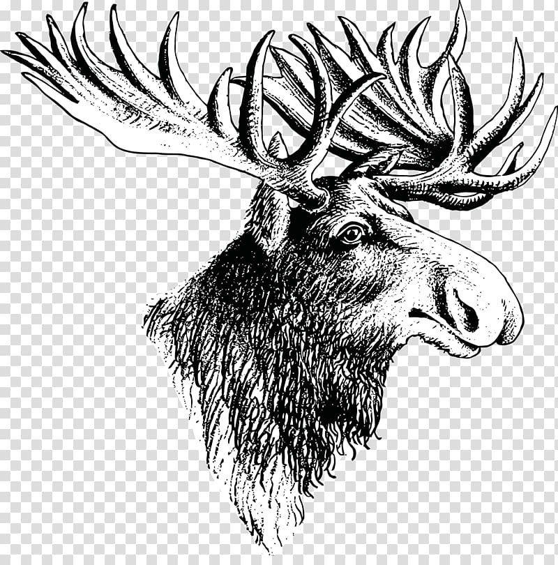 Moose Deer Elk Drawing, deer transparent background PNG clipart