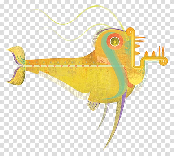 Illustration Graphics Fish, Tanque De Peixe Pacu transparent background PNG clipart