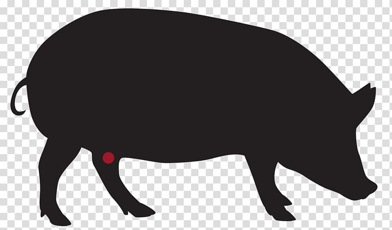 Domestic pig Churrasco Ramen Pork Sausage, spareribs rack transparent background PNG clipart