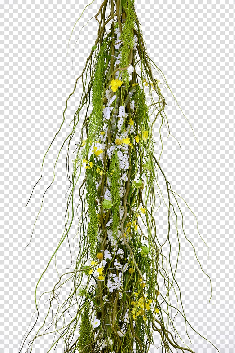 Designer, Dragon willow decoration transparent background PNG clipart