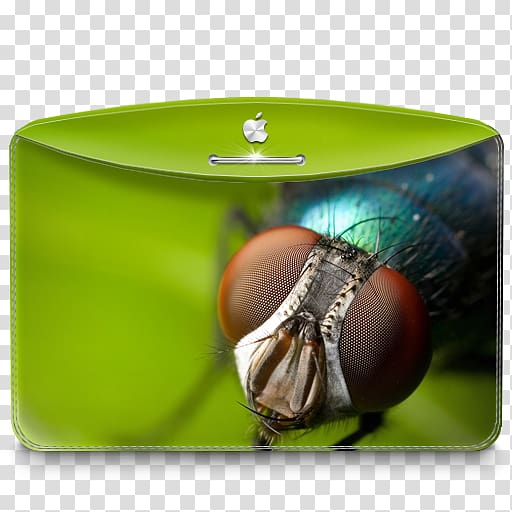green and brown fly printed Apple card wallet, butterfly pollinator invertebrate insect, Folder Nature Insect transparent background PNG clipart