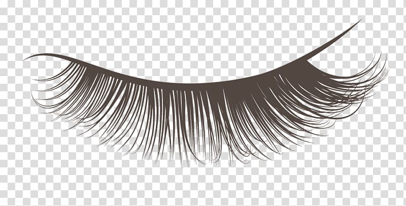 Eyelash extensions Cosmetics Mascara, eyelash extention transparent background PNG clipart