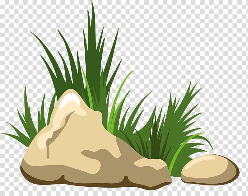 grass stone transparent background PNG clipart