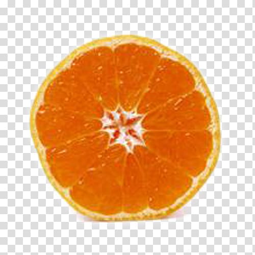 Tangerine Blood orange Tangelo Clementine, Brother orange circle transparent background PNG clipart