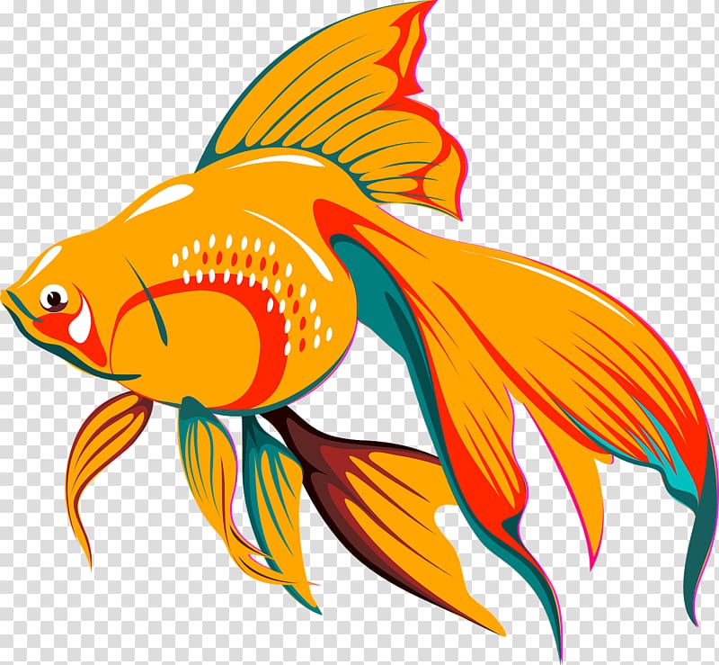 Goldfish , fish transparent background PNG clipart