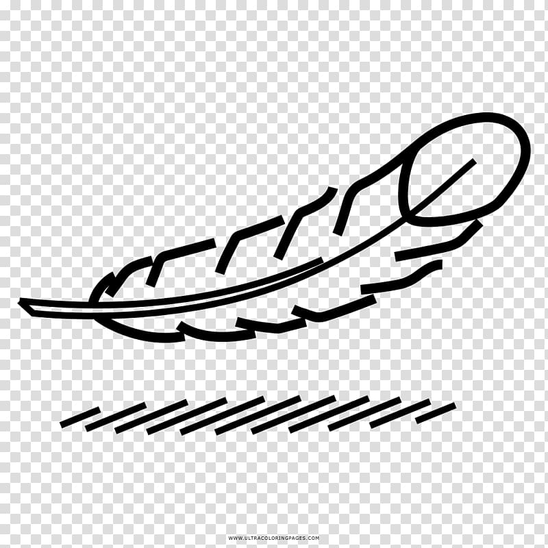 Coloring book Feather Drawing Bird Pens, feather transparent background PNG clipart