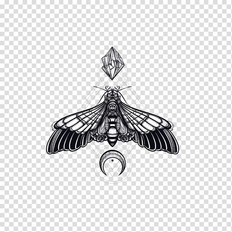Butterfly Insect African death's head hawkmoth Geometry Painting, butterfly transparent background PNG clipart