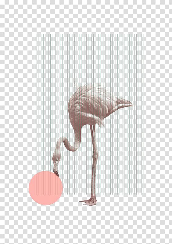 brown ostrich illustration, Poster artist Graphic design, Flamingo illustration transparent background PNG clipart
