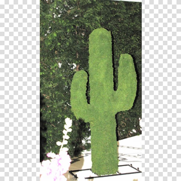Wire sculpture Ornament Garden Vase Gazebo, Cactus border transparent background PNG clipart