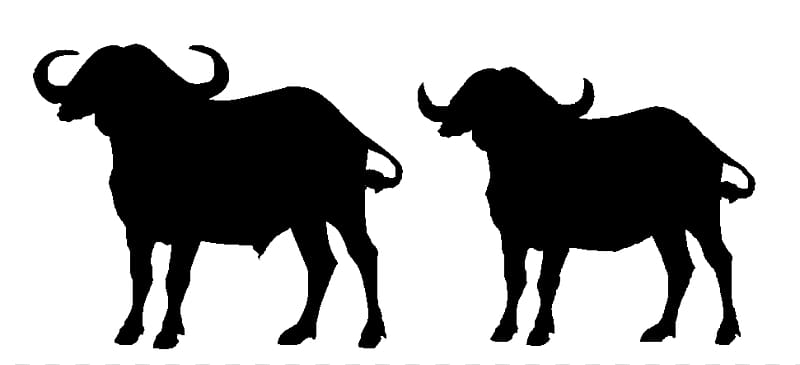 Water buffalo Scalable Graphics , Buffalo Silhouette transparent background PNG clipart