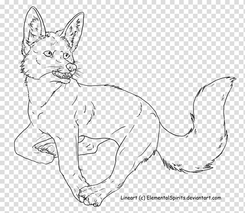 Red fox Whiskers Wolf Kit fox, fox transparent background PNG clipart