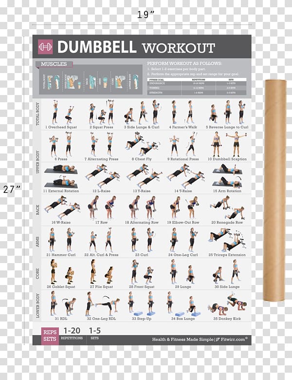 Weight training Dumbbell Bodyweight exercise Fitness Centre, dumbbell transparent background PNG clipart