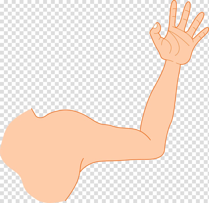 Arm Muscle Strong Man Transparent Background Png Clipart Hiclipart Pngkit selects 23 hd strong arm png images for free download. arm muscle strong man transparent