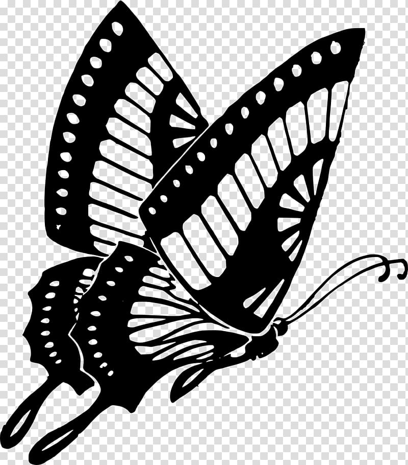 Butterfly , butterfly stamp transparent background PNG clipart