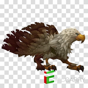 Eagle Hearthstone Animal World of Warcraft Griffin, eagle transparent background PNG clipart thumbnail