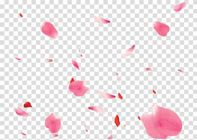 Petal, floating petals transparent background PNG clipart