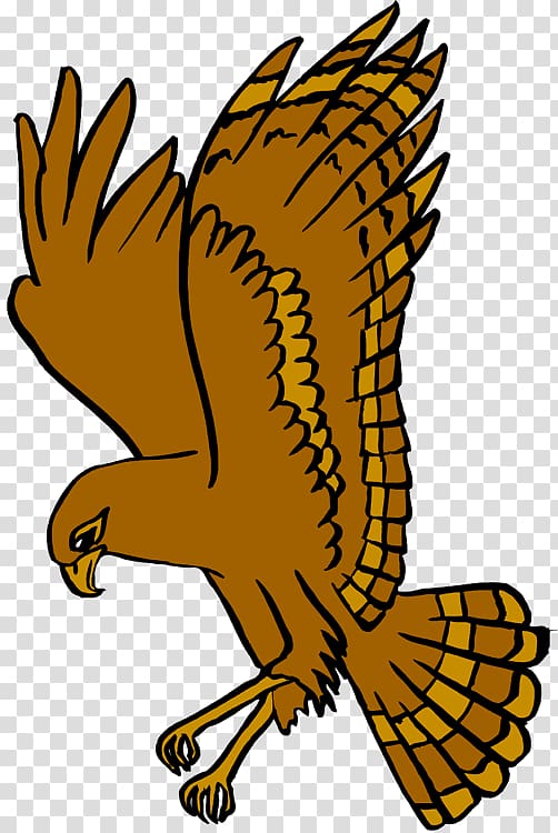 West Delaware High School Hawk National Secondary School , others transparent background PNG clipart