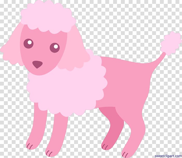 Toy Poodle Puppy Miniature Poodle , puppy transparent background PNG clipart