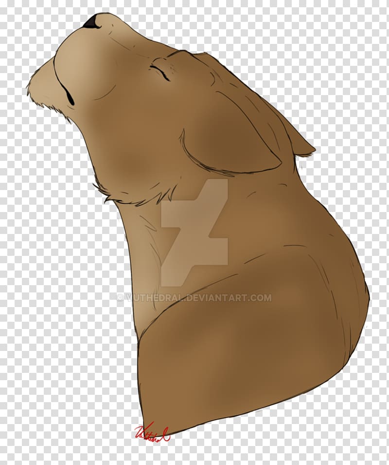 Neck Snout, summer pull down transparent background PNG clipart