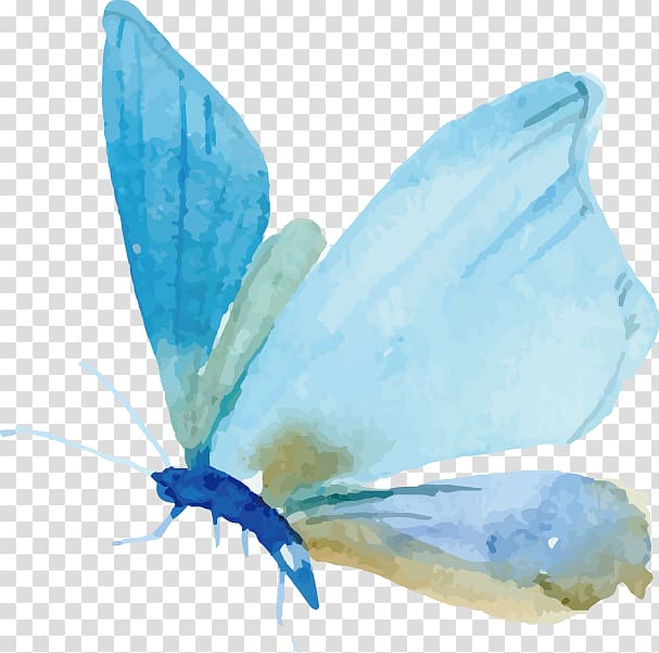 blue and teal butterfly painting, Butterfly Watercolor painting Moth Euclidean , painted butterfly transparent background PNG clipart