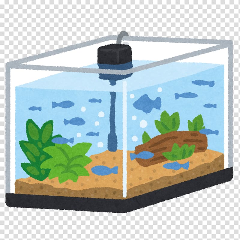 Goldfish Aquariums 飼育 Japanese rice fish Common water fleas, fish tank transparent background PNG clipart