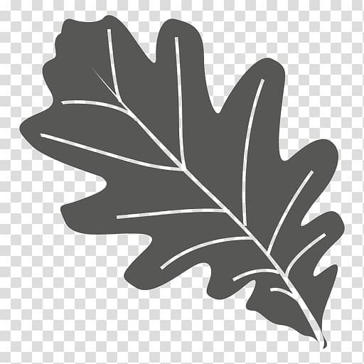 Leaf Oak, Leaf transparent background PNG clipart