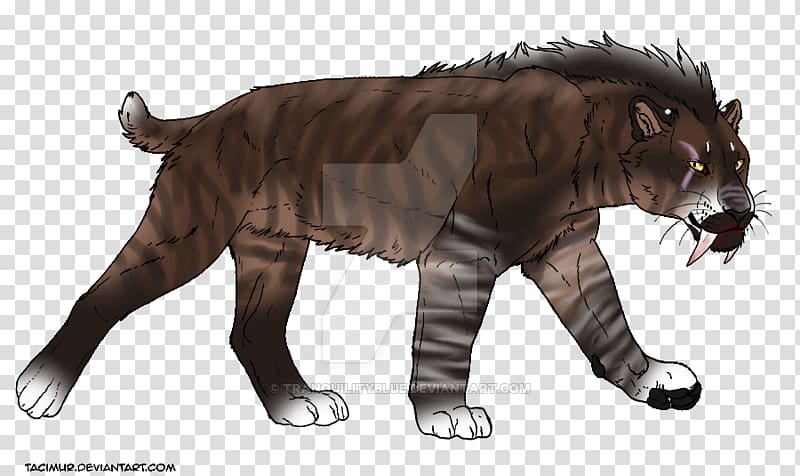 Tiger Lion Sabretooth Felidae Saber-toothed cat, Sabertoothed Tiger transparent background PNG clipart