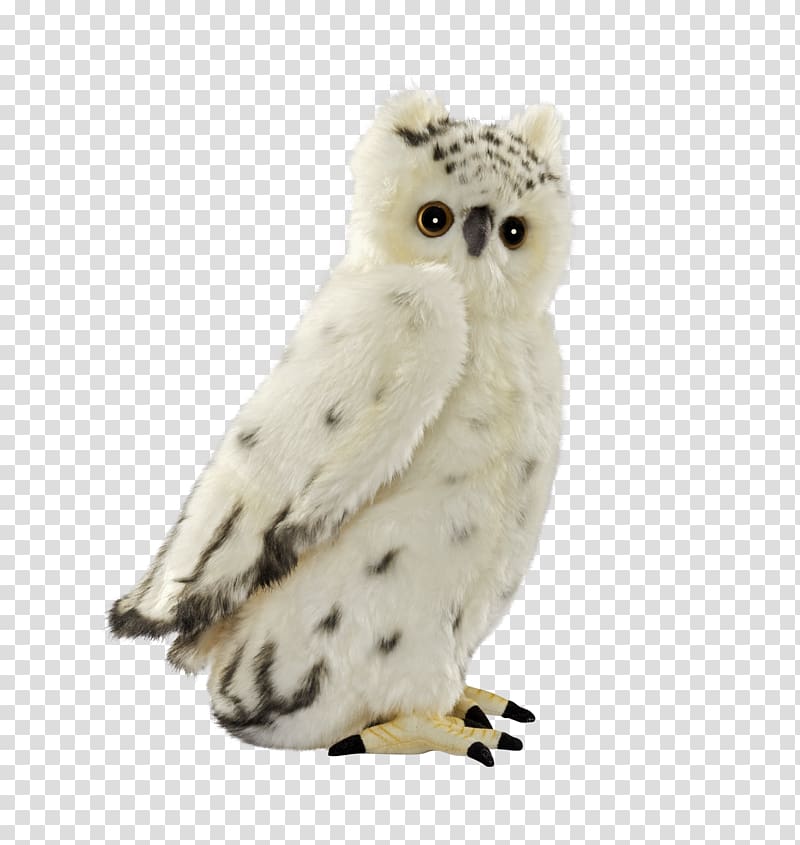 Snowy owl Bird Stuffed Animals & Cuddly Toys, owl transparent background PNG clipart