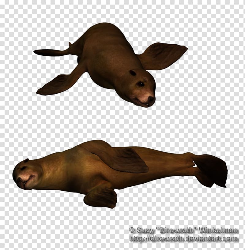 Sea lion Marine mammal Animal Horse, under sea transparent background PNG clipart