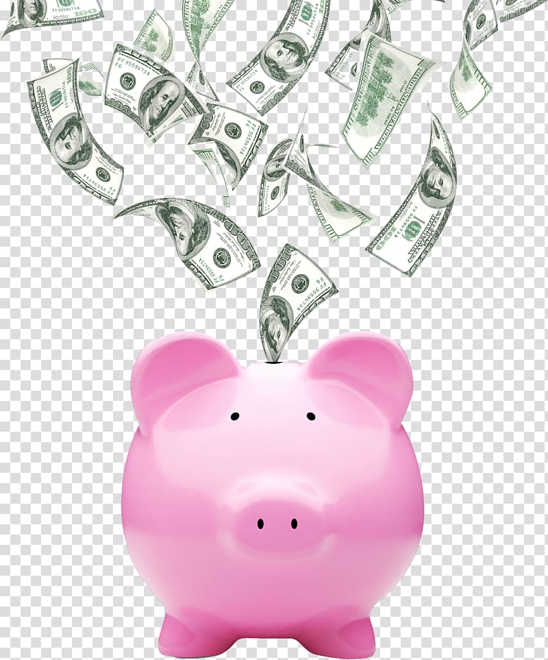 Center For Siouxland Tax preparation in the United States IRS Volunteer Income Tax Assistance Program, piggy bank transparent background PNG clipart