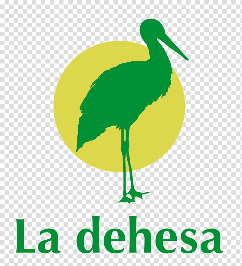 Restaurante La dehesa • PISCINA • EVENTOS • ACTUACIONES Menu Swimming pool Beak, alberca transparent background PNG clipart