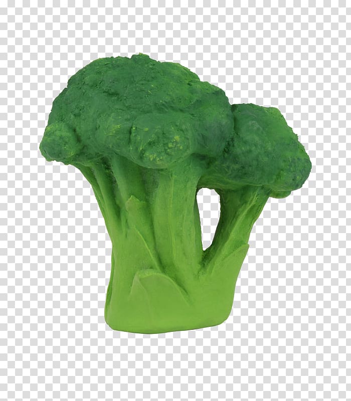 Teether Broccoli Vegetable Kale Child, broccoli transparent background PNG clipart