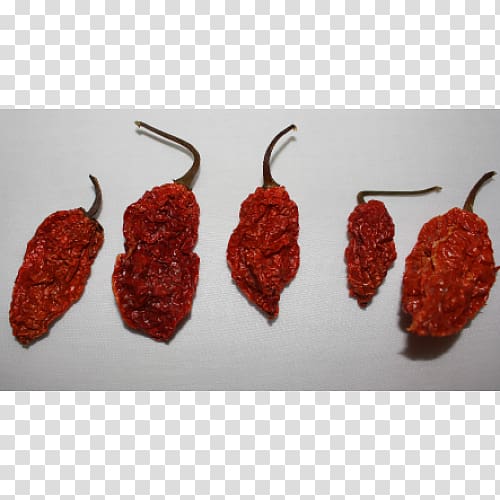 Chili pepper Bhut jolokia Pasilla Capsicum annuum Indian cuisine, others transparent background PNG clipart