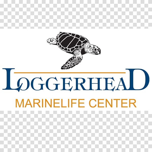 Loggerhead Marinelife Center Loggerhead Park Loggerhead sea turtle, turtle transparent background PNG clipart