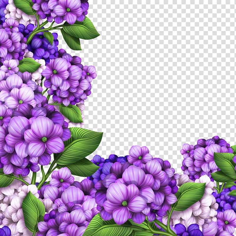 purple petaled flowers illustration, Hydrangea Flower , Beautiful purple border transparent background PNG clipart