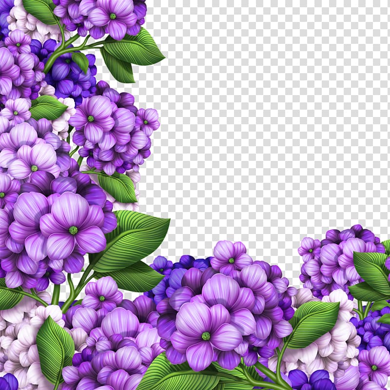 purple border