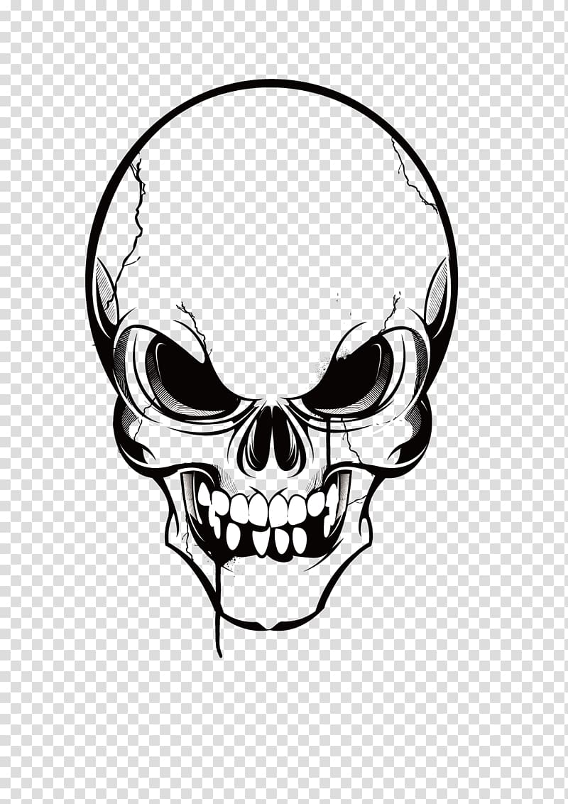 Black and white skull illustration, Skull , skulls transparent background  PNG clipart | HiClipart