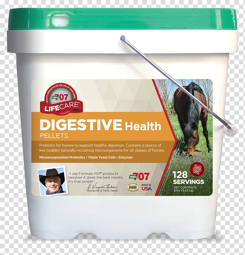 Horse Dietary supplement Vitamin Mineral Nutrient, horse transparent background PNG clipart