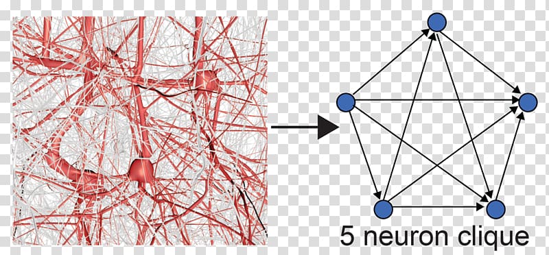 Blue Brain Project Neuron Clique Geometry, topology transparent background PNG clipart