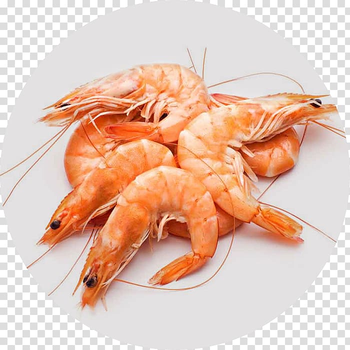 Shellfish Prawn Seafood, fish transparent background PNG clipart