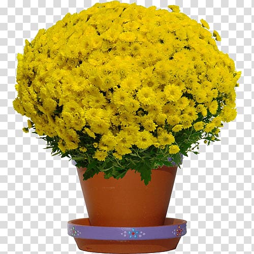 Chrysanthemum Cut flowers Yellow Plant, Masculin transparent background PNG clipart