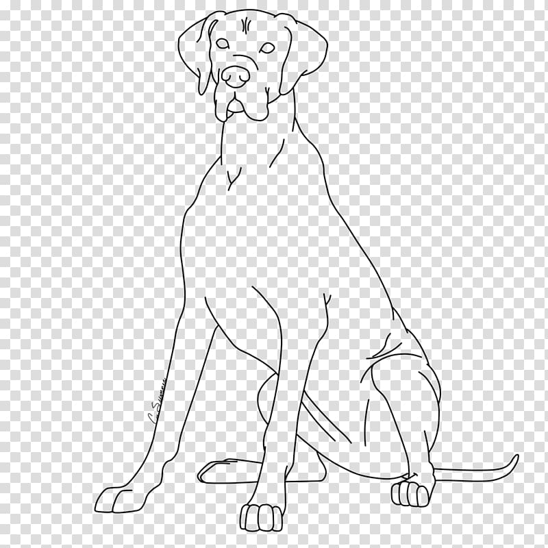 Puppy Dog breed Great Dane Dobermann Basset Hound, GREAT DANE transparent background PNG clipart