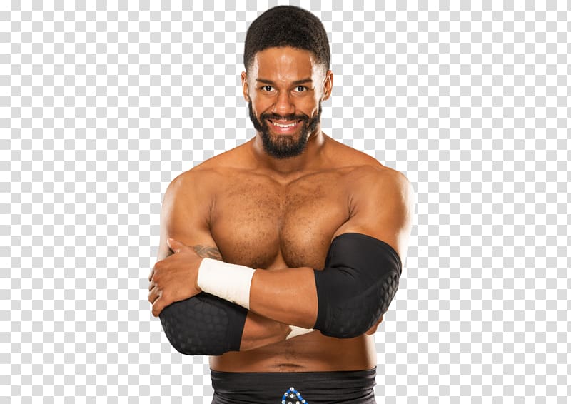 Darren Young WWE Superstars WWE Intercontinental Championship The Prime Time Players, triple h transparent background PNG clipart