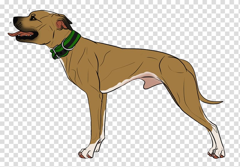 Dog breed Italian Greyhound Azawakh Leash, american bully kennel logos transparent background PNG clipart
