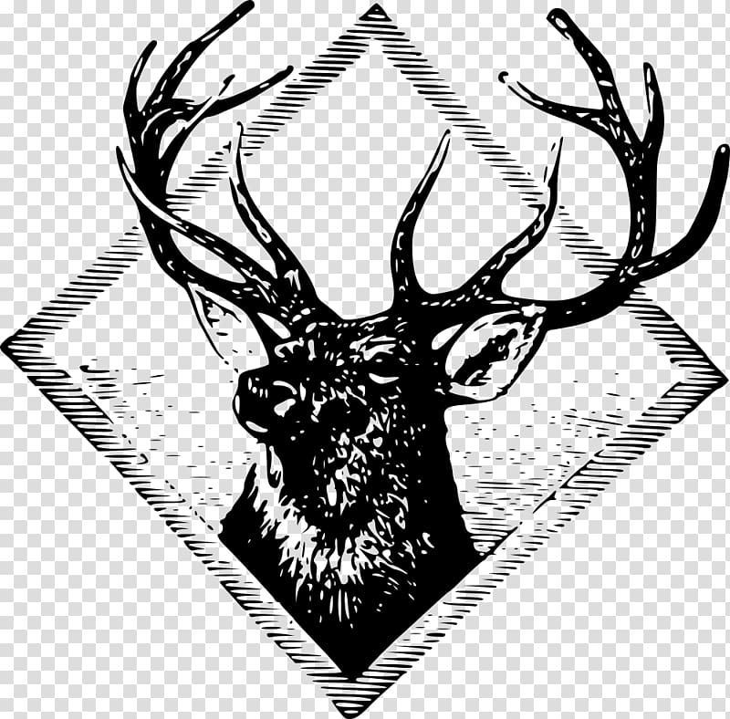 Red deer T-shirt Elk , deer transparent background PNG clipart