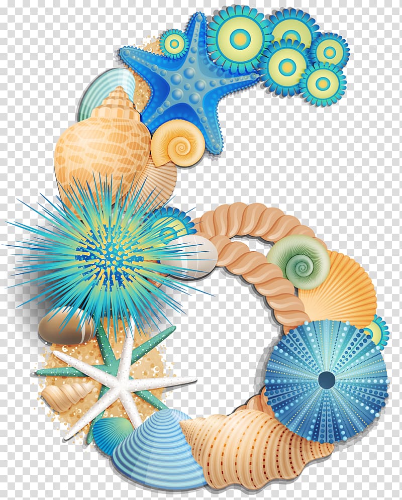 seashells and starfish art, Red Easter egg , Number Six Sea Style transparent background PNG clipart