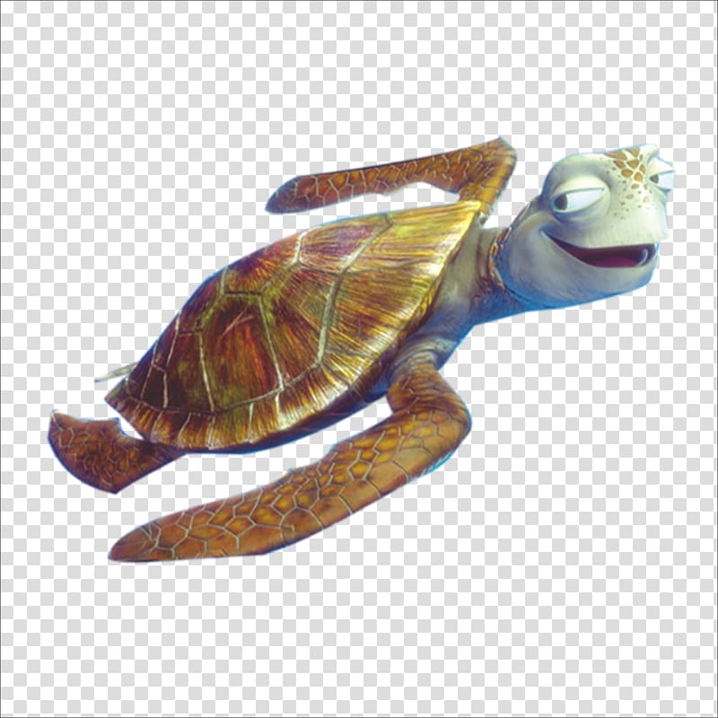 Finding Nemo Crush , Sea turtle Crush Finding Nemo , Sea turtle transparent background PNG clipart