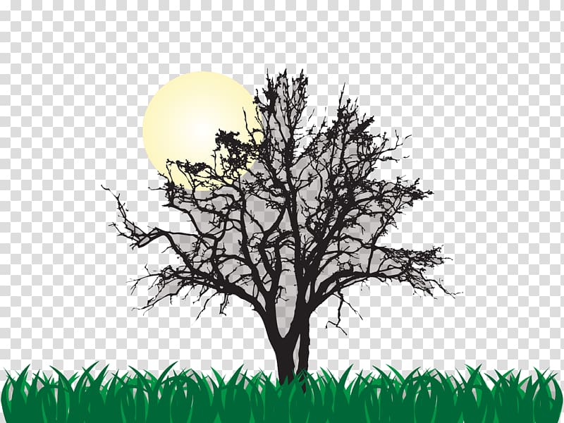 Tree Euclidean Illustration, Sunrise under the dead tree transparent background PNG clipart