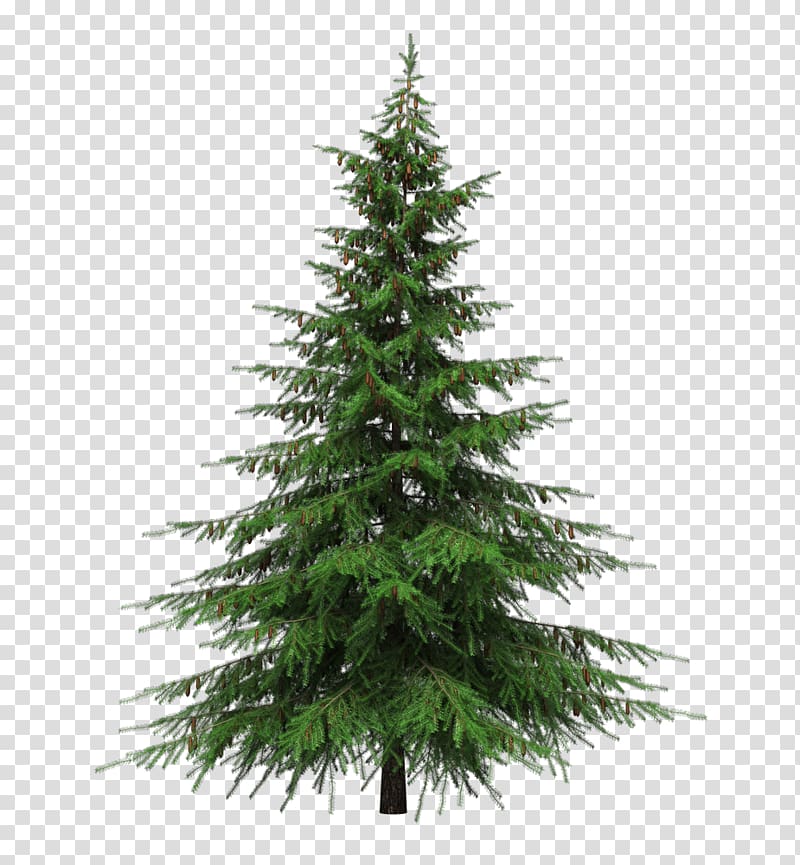 pine tree , Balsam fir Artificial Christmas tree Pre-lit tree, fir-tree transparent background PNG clipart